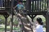 II Passeio Geral