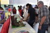 Feira das Regiões - Maravilhas do Mundo Moderno